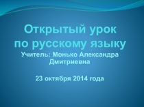 Презентация по русскому языку