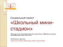 Социальный проект Школьный мини-стадион