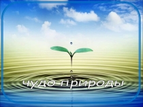 Презентация Вода - чудо природы