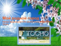 Мой родной город