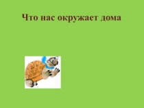 Презентация по окружающему мируЧто нас окружает дома