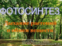 Презентация по биологии на тему Фотосинтез