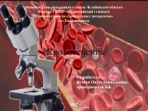 Презентация по дисциплине Безопасность жизнедеятельности Кровотечение