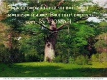 Презентация по чувашскому языку на тему Дуб (Юман)