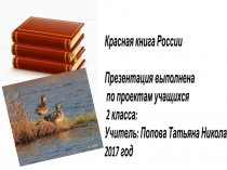 Презентация по окружающему миру на тему Красная книга России 2 класс