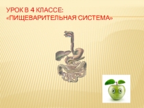 Презентация по окружающему миру на тему Пищеварительная система (4 класс)