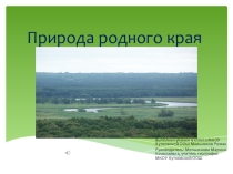 Презентация по географическому краеведению Природа родного края