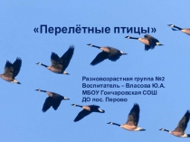 Перелётные птицы! для детей второй младшей группы