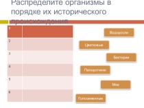 Презентация к уроку по биологии (6 класс) Культурные растения