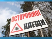 Презентация к классному часу Осторожно, клещи