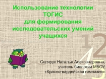 Презентация Использование технологии ТОГИС