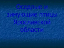 Презентации про Птиц перелётных и зимующих и загадки про птиц Ярославского края