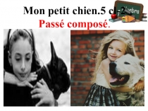 Презентация по французскому языку на тему Mon petit chien Passe compose (5 класс)