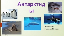 Презентация по окружающему миру Животные Антарктиды