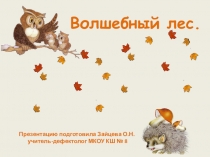 Презентация Развитие ВПФ учащихся