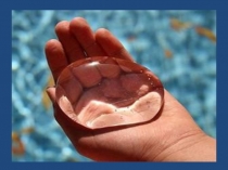 Презентация. Исследовательская работа Как сэкономить воду?