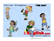 Презентация на английском части тела