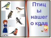 Презентация Птицы нашего края
