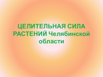 Презентация Кроссворд о растениях Челябинской области