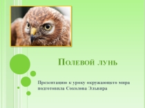 Презентация Полевой лунь . Окружающий мир 3 класс УМК ПНШ