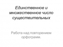 Презентация по русскому языку на тему Единственное и множественное число существительных (2 класс)