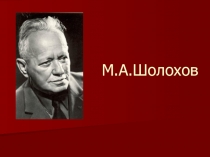Презентация по литературе на тему М.Шолохов Тихий Дон
