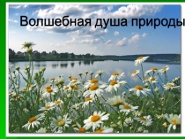 Презентация Волшебная душа природы