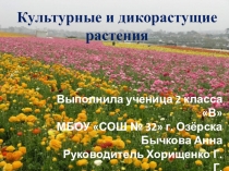 Презентация по окружающему миру 2 класс Культурные и дикие растения