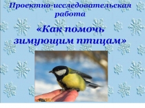 Проектно-исследовательская работа Как помочь зимующим птицам