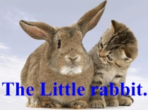 Презентация к стихотворению The little rabbit