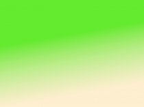 Презентация по литературному чтению на тему Г. Юдин Вытри лапы и входи