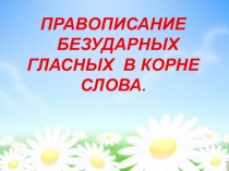 Презентация по русскому языкуПравописание безударных гласных в корне слова