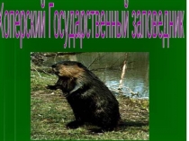 Презентация к занятию Заповедники России