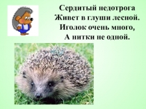 Презентация Обитатели Вологодской области