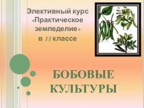 Презентация по элективному курсу Практическое земледелие на тему Бобовые культуры (11 класс)