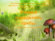 Презентация по окружающему миру. Загадки о грибах. Для детей старшего дошкольного возраста.