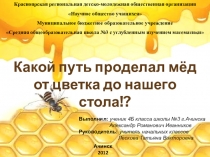 Исследовательский реферат на городской конкурс. Номинация Окружающий мир. 4 класс.