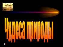 Презентация к недели естествознания