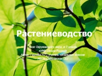 Презентация по окружающему миру на тему Растениеводство (3 класс)
