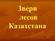 Звери лесов Казахстана