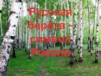 Презентация внеклассного занятия Русская береза-символ России
