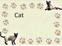 Презентация по английскому языку Cat  (2 класс)