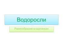Презентация по биологии на тему Водоросли
