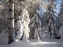 Презентация по башкирскому государственному языку на тему Ҡыш миҙгеле. Сифат темаһын ҡабатлау