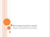 Презентация Останови поджоги сухой травы