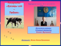 Қазақы ит- Төбет оқушының зерттеу жұмысы