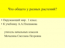 Презентация по окружающему миру по теме Что общего у разных растений 1 класс
