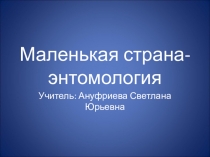 Презентация по окружающему миру Маленькая страна энтомология