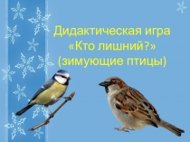 Интерактивная игра Кто лишний? (зимующие птицы)