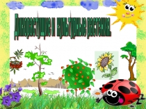 Дикорастущие и культурные растения